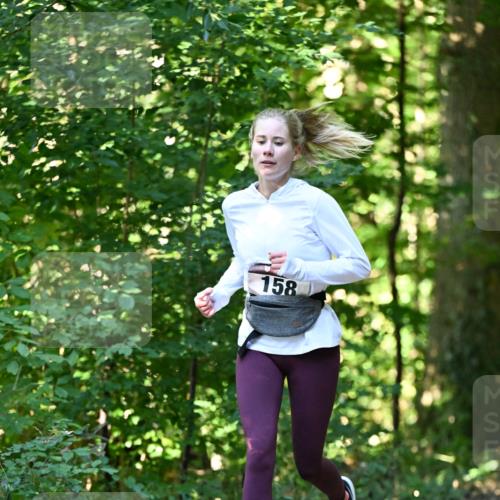 06.10.2024 - Bramfelder Halbmarathon 2024 Dr. Thomas Lammeyer http://msf.ph/oto/7338655 06.10.2024 10:28:14 Laufen 158 meine-sportfotos.de