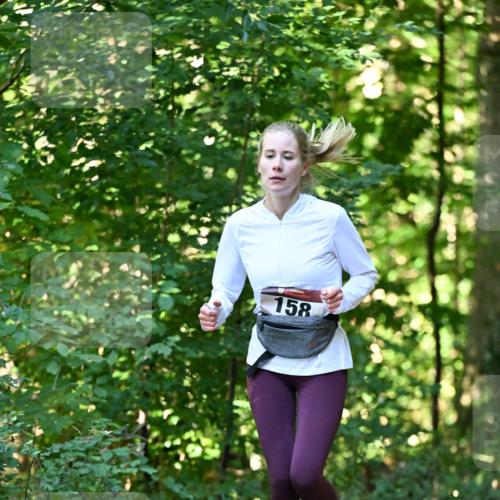 06.10.2024 - Bramfelder Halbmarathon 2024 Dr. Thomas Lammeyer http://msf.ph/oto/7338656 06.10.2024 10:28:14 Laufen 158 meine-sportfotos.de