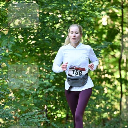 06.10.2024 - Bramfelder Halbmarathon 2024 Dr. Thomas Lammeyer http://msf.ph/oto/7338657 06.10.2024 10:28:14 Laufen 158 meine-sportfotos.de
