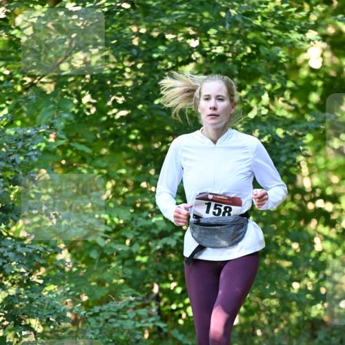 06.10.2024 - Bramfelder Halbmarathon 2024 Dr. Thomas Lammeyer http://msf.ph/oto/7338658 06.10.2024 10:28:14 Laufen 158 meine-sportfotos.de