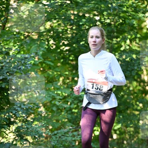 06.10.2024 - Bramfelder Halbmarathon 2024 Dr. Thomas Lammeyer http://msf.ph/oto/7338659 06.10.2024 10:28:14 Laufen 158 meine-sportfotos.de