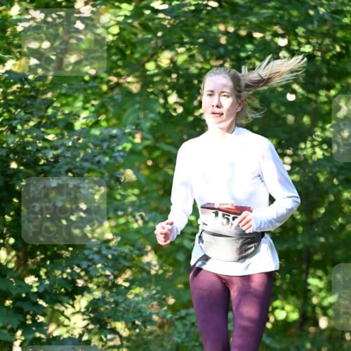 06.10.2024 - Bramfelder Halbmarathon 2024 Dr. Thomas Lammeyer http://msf.ph/oto/7338661 06.10.2024 10:28:15 Laufen 157 meine-sportfotos.de