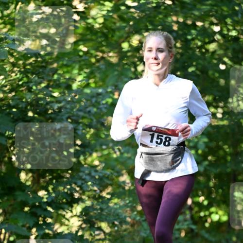 06.10.2024 - Bramfelder Halbmarathon 2024 Dr. Thomas Lammeyer http://msf.ph/oto/7338662 06.10.2024 10:28:15 Laufen 33, 158 meine-sportfotos.de
