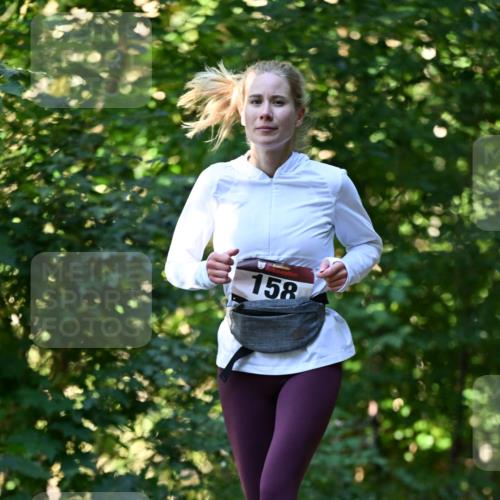 06.10.2024 - Bramfelder Halbmarathon 2024 Dr. Thomas Lammeyer http://msf.ph/oto/7338663 06.10.2024 10:28:15 Laufen 158 meine-sportfotos.de