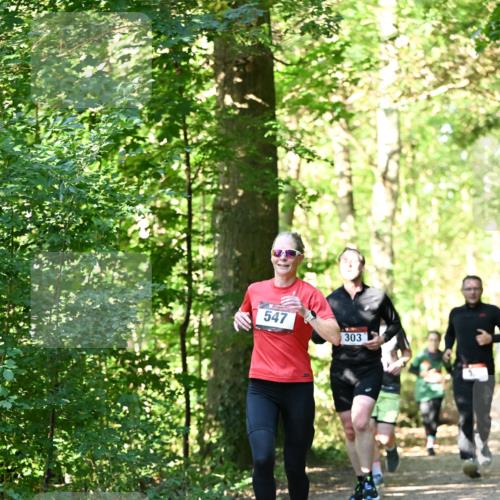 06.10.2024 - Bramfelder Halbmarathon 2024 Dr. Thomas Lammeyer http://msf.ph/oto/7338679 06.10.2024 10:28:21 Laufen 547, 303 meine-sportfotos.de