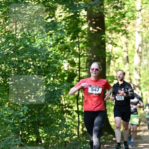06.10.2024 - Bramfelder Halbmarathon 2024 Dr. Thomas Lammeyer http://msf.ph/oto/7338682 06.10.2024 10:28:21 Laufen 547, 303 meine-sportfotos.de