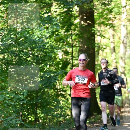 06.10.2024 - Bramfelder Halbmarathon 2024 Dr. Thomas Lammeyer http://msf.ph/oto/7338683 06.10.2024 10:28:21 Laufen 547 meine-sportfotos.de