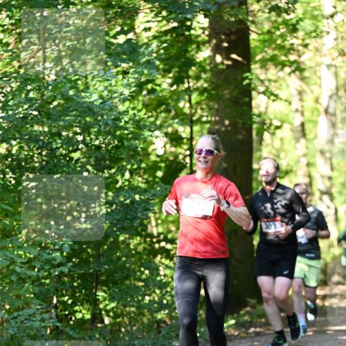 06.10.2024 - Bramfelder Halbmarathon 2024 Dr. Thomas Lammeyer http://msf.ph/oto/7338684 06.10.2024 10:28:21 Laufen 303 meine-sportfotos.de