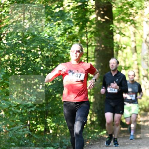 06.10.2024 - Bramfelder Halbmarathon 2024 Dr. Thomas Lammeyer http://msf.ph/oto/7338687 06.10.2024 10:28:22 Laufen 303 meine-sportfotos.de