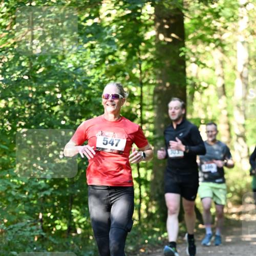 06.10.2024 - Bramfelder Halbmarathon 2024 Dr. Thomas Lammeyer http://msf.ph/oto/7338688 06.10.2024 10:28:22 Laufen 547 meine-sportfotos.de