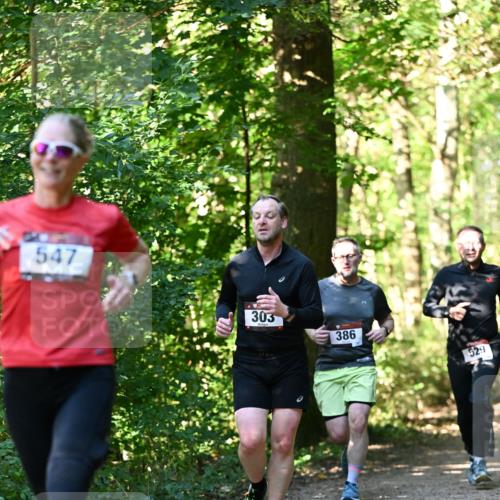 06.10.2024 - Bramfelder Halbmarathon 2024 Dr. Thomas Lammeyer http://msf.ph/oto/7338689 06.10.2024 10:28:22 Laufen 547, 303, 386, 529 meine-sportfotos.de