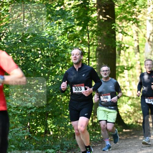 06.10.2024 - Bramfelder Halbmarathon 2024 Dr. Thomas Lammeyer http://msf.ph/oto/7338692 06.10.2024 10:28:23 Laufen 303, 386, 529 meine-sportfotos.de