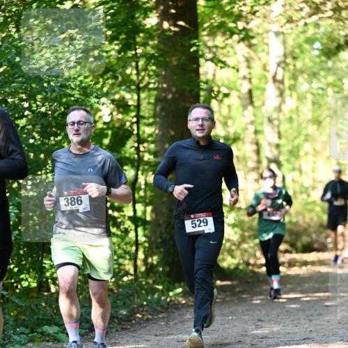 06.10.2024 - Bramfelder Halbmarathon 2024 Dr. Thomas Lammeyer http://msf.ph/oto/7338696 06.10.2024 10:28:24 Laufen 386, 161, 529 meine-sportfotos.de