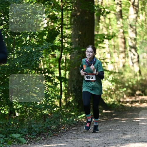 06.10.2024 - Bramfelder Halbmarathon 2024 Dr. Thomas Lammeyer http://msf.ph/oto/7338701 06.10.2024 10:28:26 Laufen 495 meine-sportfotos.de