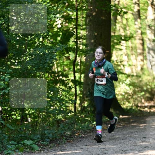 06.10.2024 - Bramfelder Halbmarathon 2024 Dr. Thomas Lammeyer http://msf.ph/oto/7338702 06.10.2024 10:28:26 Laufen 495 meine-sportfotos.de