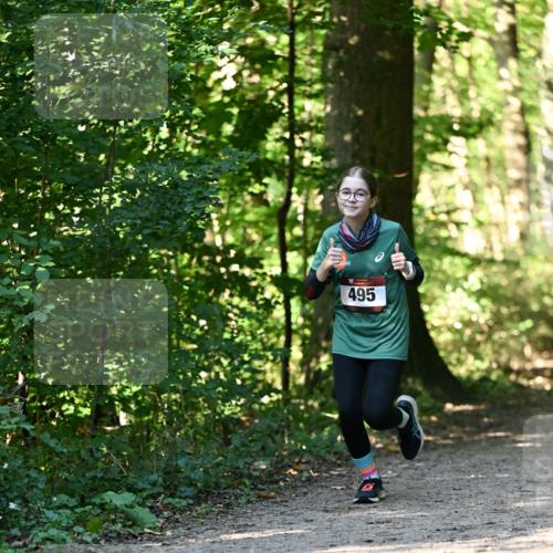06.10.2024 - Bramfelder Halbmarathon 2024 Dr. Thomas Lammeyer http://msf.ph/oto/7338703 06.10.2024 10:28:26 Laufen 495 meine-sportfotos.de
