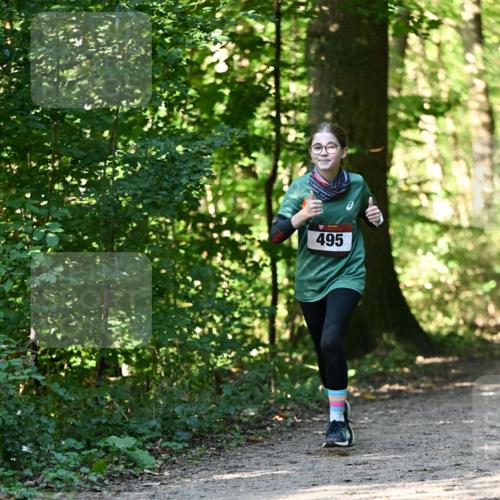 06.10.2024 - Bramfelder Halbmarathon 2024 Dr. Thomas Lammeyer http://msf.ph/oto/7338704 06.10.2024 10:28:26 Laufen 495 meine-sportfotos.de