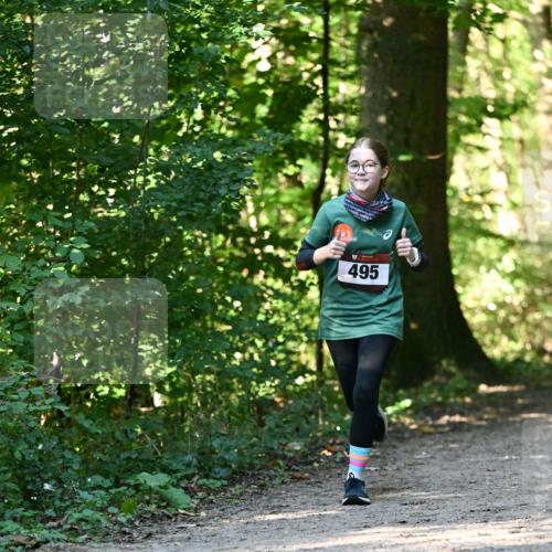 06.10.2024 - Bramfelder Halbmarathon 2024 Dr. Thomas Lammeyer http://msf.ph/oto/7338705 06.10.2024 10:28:26 Laufen 495 meine-sportfotos.de