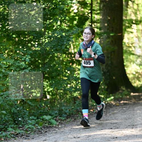 06.10.2024 - Bramfelder Halbmarathon 2024 Dr. Thomas Lammeyer http://msf.ph/oto/7338707 06.10.2024 10:28:27 Laufen 495 meine-sportfotos.de