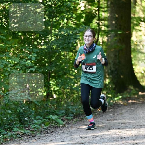 06.10.2024 - Bramfelder Halbmarathon 2024 Dr. Thomas Lammeyer http://msf.ph/oto/7338708 06.10.2024 10:28:27 Laufen 495 meine-sportfotos.de