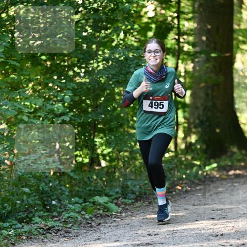 06.10.2024 - Bramfelder Halbmarathon 2024 Dr. Thomas Lammeyer http://msf.ph/oto/7338709 06.10.2024 10:28:27 Laufen 495 meine-sportfotos.de