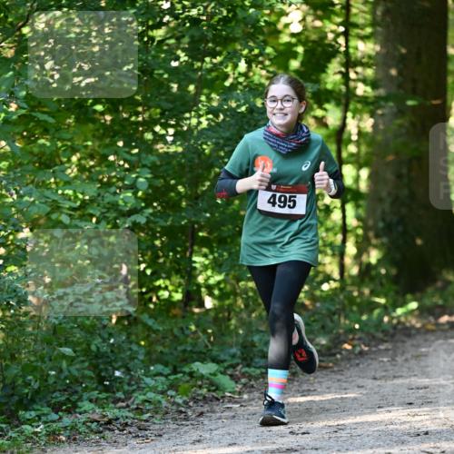 06.10.2024 - Bramfelder Halbmarathon 2024 Dr. Thomas Lammeyer http://msf.ph/oto/7338710 06.10.2024 10:28:27 Laufen 961 meine-sportfotos.de