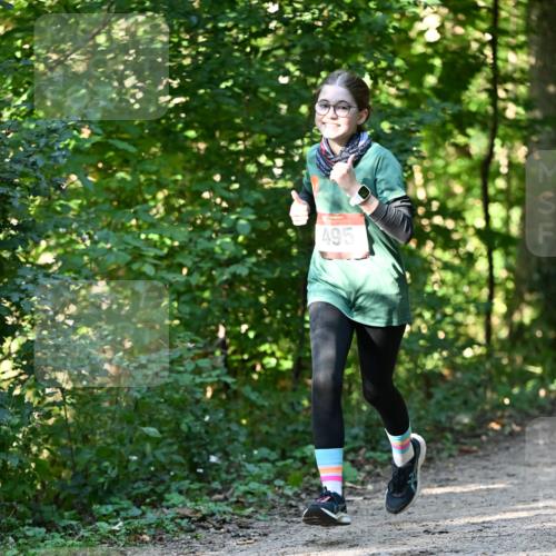 06.10.2024 - Bramfelder Halbmarathon 2024 Dr. Thomas Lammeyer http://msf.ph/oto/7338712 06.10.2024 10:28:27 Laufen 495 meine-sportfotos.de