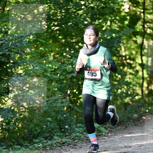 06.10.2024 - Bramfelder Halbmarathon 2024 Dr. Thomas Lammeyer http://msf.ph/oto/7338713 06.10.2024 10:28:27 Laufen 495 meine-sportfotos.de