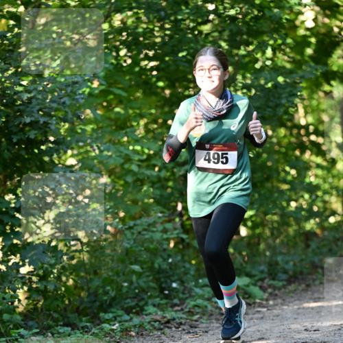 06.10.2024 - Bramfelder Halbmarathon 2024 Dr. Thomas Lammeyer http://msf.ph/oto/7338714 06.10.2024 10:28:28 Laufen 495 meine-sportfotos.de