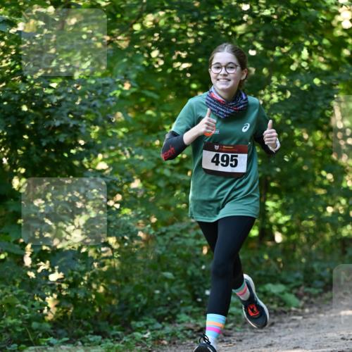 06.10.2024 - Bramfelder Halbmarathon 2024 Dr. Thomas Lammeyer http://msf.ph/oto/7338715 06.10.2024 10:28:28 Laufen 495 meine-sportfotos.de