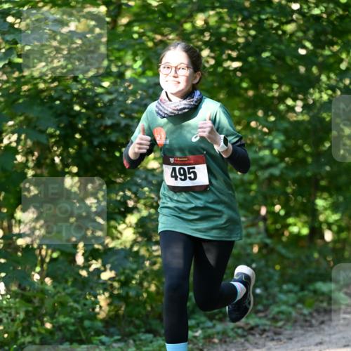 06.10.2024 - Bramfelder Halbmarathon 2024 Dr. Thomas Lammeyer http://msf.ph/oto/7338718 06.10.2024 10:28:28 Laufen 495 meine-sportfotos.de