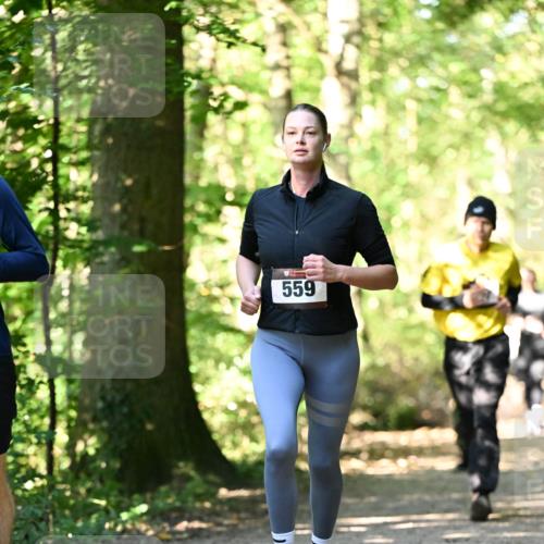 06.10.2024 - Bramfelder Halbmarathon 2024 Dr. Thomas Lammeyer http://msf.ph/oto/7338730 06.10.2024 10:28:32 Laufen 559 meine-sportfotos.de