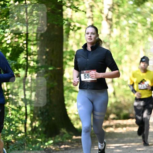 06.10.2024 - Bramfelder Halbmarathon 2024 Dr. Thomas Lammeyer http://msf.ph/oto/7338731 06.10.2024 10:28:32 Laufen 55 meine-sportfotos.de