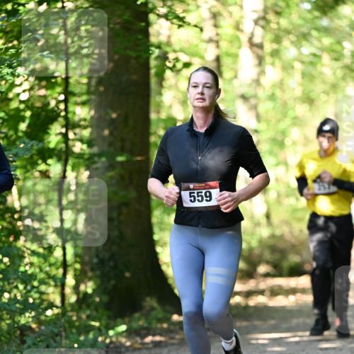 06.10.2024 - Bramfelder Halbmarathon 2024 Dr. Thomas Lammeyer http://msf.ph/oto/7338732 06.10.2024 10:28:32 Laufen 559 meine-sportfotos.de