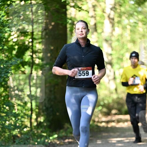 06.10.2024 - Bramfelder Halbmarathon 2024 Dr. Thomas Lammeyer http://msf.ph/oto/7338734 06.10.2024 10:28:33 Laufen 33, 559 meine-sportfotos.de