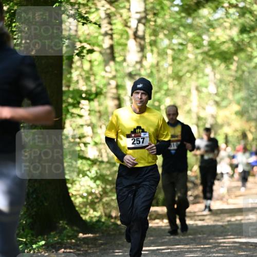 06.10.2024 - Bramfelder Halbmarathon 2024 Dr. Thomas Lammeyer http://msf.ph/oto/7338738 06.10.2024 10:28:34 Laufen 257 meine-sportfotos.de