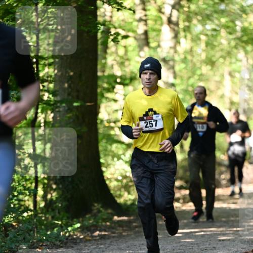 06.10.2024 - Bramfelder Halbmarathon 2024 Dr. Thomas Lammeyer http://msf.ph/oto/7338741 06.10.2024 10:28:34 Laufen 200, 257, 910 meine-sportfotos.de