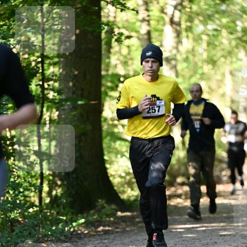 06.10.2024 - Bramfelder Halbmarathon 2024 Dr. Thomas Lammeyer http://msf.ph/oto/7338742 06.10.2024 10:28:34 Laufen 257 meine-sportfotos.de