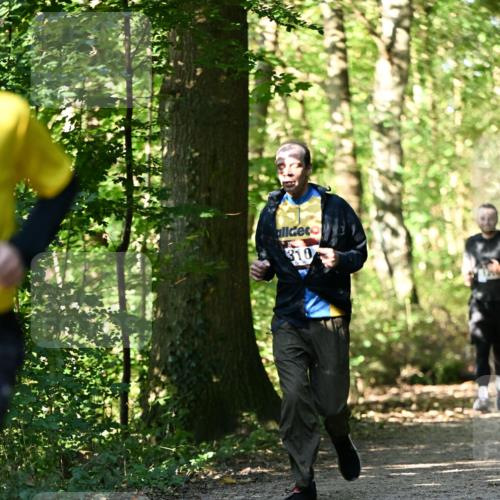 06.10.2024 - Bramfelder Halbmarathon 2024 Dr. Thomas Lammeyer http://msf.ph/oto/7338754 06.10.2024 10:28:36 Laufen 310 meine-sportfotos.de