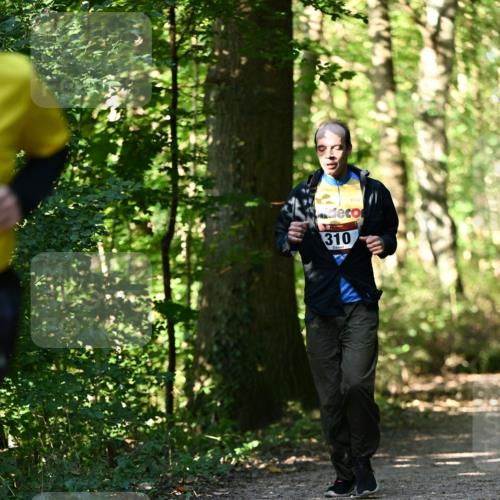 06.10.2024 - Bramfelder Halbmarathon 2024 Dr. Thomas Lammeyer http://msf.ph/oto/7338755 06.10.2024 10:28:36 Laufen 310 meine-sportfotos.de