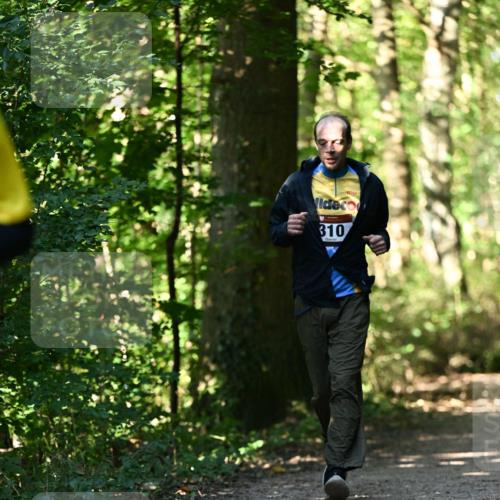 06.10.2024 - Bramfelder Halbmarathon 2024 Dr. Thomas Lammeyer http://msf.ph/oto/7338756 06.10.2024 10:28:37 Laufen 310 meine-sportfotos.de