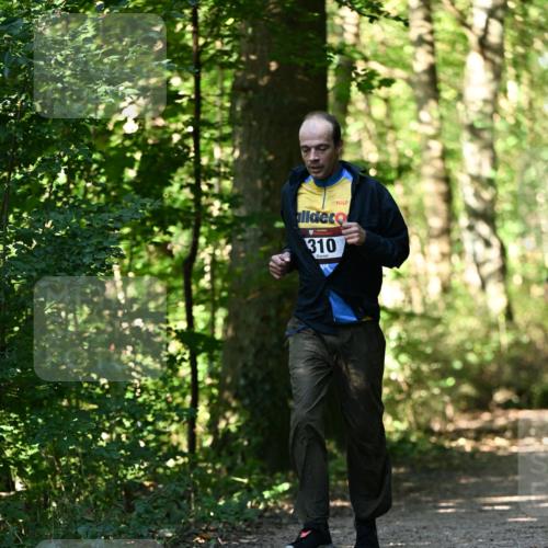 06.10.2024 - Bramfelder Halbmarathon 2024 Dr. Thomas Lammeyer http://msf.ph/oto/7338757 06.10.2024 10:28:37 Laufen 310 meine-sportfotos.de