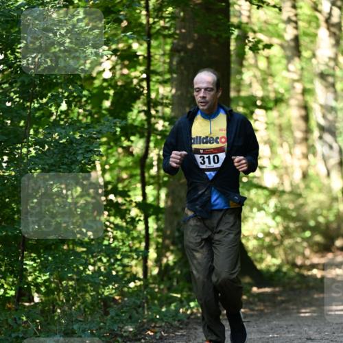 06.10.2024 - Bramfelder Halbmarathon 2024 Dr. Thomas Lammeyer http://msf.ph/oto/7338758 06.10.2024 10:28:37 Laufen 310 meine-sportfotos.de