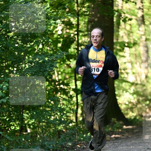 06.10.2024 - Bramfelder Halbmarathon 2024 Dr. Thomas Lammeyer http://msf.ph/oto/7338760 06.10.2024 10:28:37 Laufen 310 meine-sportfotos.de