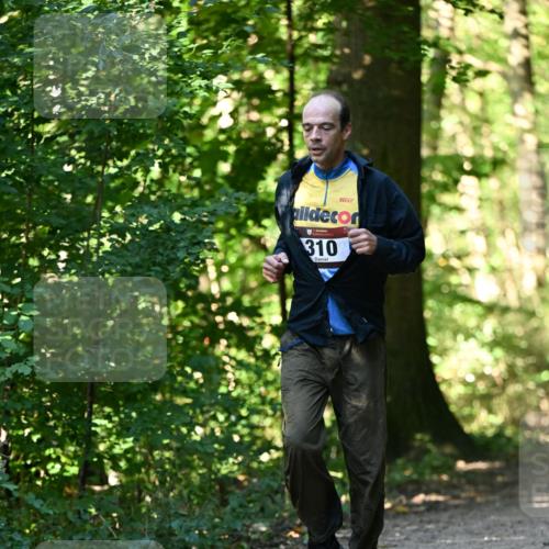 06.10.2024 - Bramfelder Halbmarathon 2024 Dr. Thomas Lammeyer http://msf.ph/oto/7338761 06.10.2024 10:28:38 Laufen 4727, 310 meine-sportfotos.de