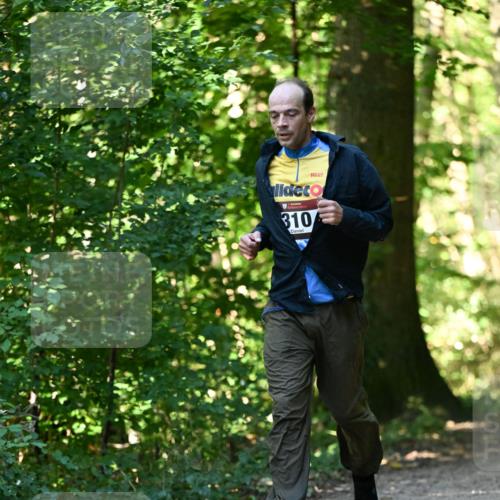 06.10.2024 - Bramfelder Halbmarathon 2024 Dr. Thomas Lammeyer http://msf.ph/oto/7338762 06.10.2024 10:28:38 Laufen 310 meine-sportfotos.de
