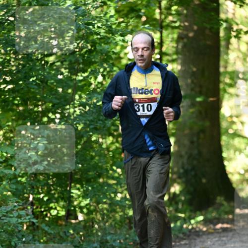 06.10.2024 - Bramfelder Halbmarathon 2024 Dr. Thomas Lammeyer http://msf.ph/oto/7338764 06.10.2024 10:28:38 Laufen 310 meine-sportfotos.de