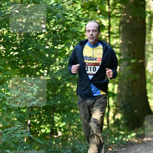 06.10.2024 - Bramfelder Halbmarathon 2024 Dr. Thomas Lammeyer http://msf.ph/oto/7338765 06.10.2024 10:28:38 Laufen 310 meine-sportfotos.de