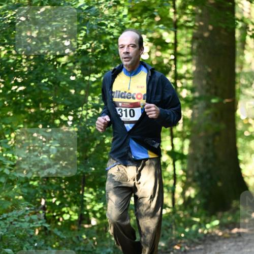 06.10.2024 - Bramfelder Halbmarathon 2024 Dr. Thomas Lammeyer http://msf.ph/oto/7338766 06.10.2024 10:28:38 Laufen 310 meine-sportfotos.de