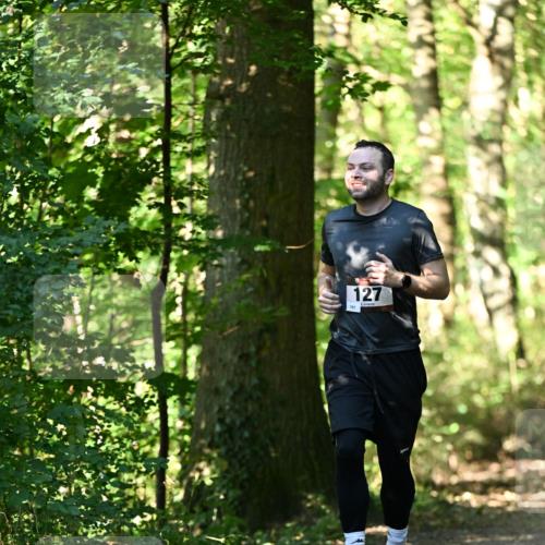 06.10.2024 - Bramfelder Halbmarathon 2024 Dr. Thomas Lammeyer http://msf.ph/oto/7338772 06.10.2024 10:28:42 Laufen 127, 101 meine-sportfotos.de